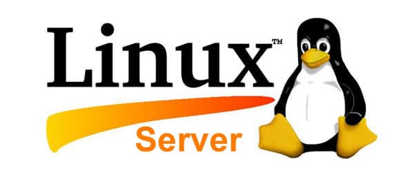 An illustration featuring the text "Linux Server" with the Linux logo, a penguin named Tux, sitting to the right of the text. The word "Server" is underlined by a curved orange streak.